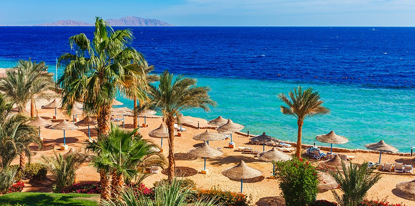 MISIR turu - Promosyon Kahire Sharm El Sheikh Turu 7 Gece 9 Gün Kahire Şehir Gezisi Dahill